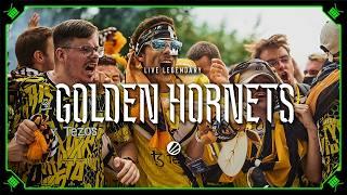 CS2 Fan Profile - Golden Hornets