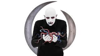 A Perfect Circle - The Contrarian [Audio]