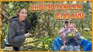 Nguyễn Huỳnh Như chốt giải cứu 10 tấn cam cho đôi vợ chồng rất thương, tự tay làm hết 5 công đất