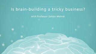 Is brain-building a tricky business?