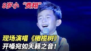 8岁小“费翔”现场演唱《橄榄树》,开嗓如天籁,太好听了 【家有大明星】