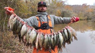 We Found The BEST Creek Crappie Spot Ever! **DOUBLE LIMITS** with Jigs & Bobbers!  (No Electronics)