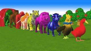 Paint & Animals Duck,Gorilla,Lion,Elephant,Cow,Sheep Fountain Crossing Transformation Animal Cartoon