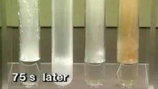 Sodium Reacts with Four Acids