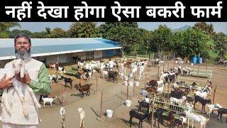 UPSC Aspirant's Amazing Goat Farm | Goat Farming | Goat Farming Business Plan