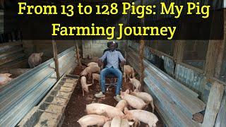 Pig Farming Success Story : From 13 to 128 Pig