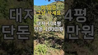 이런 땅은 생각하지 말고 그냥 사세요~대지104평 단돈100만원[땅지통]