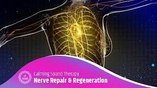 Nerve Repair And Regeneration Binaural Beats | Heal Nerve Connection | Calming Sound Therapy