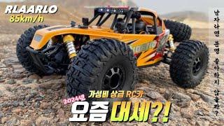 Check Out the Hot & Trending Rlaarlo AM-D12!Why Everyone's Raving About This High-Performance RC Car