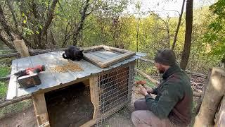 How does the happiness of a mountain man living alongside his animals look.