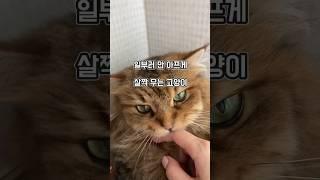 살짝 물렸어 난