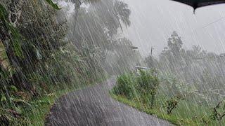 Walking in super heavy rain and thunderstorms 3 hours, heavy rain in a green and cool village, ASMR