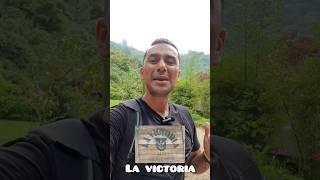 Finca la Victoria en Minca|Tour del café|Tour cervecero #minca #shorts