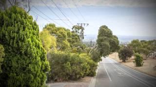 Vegetation management at SA Power Networks