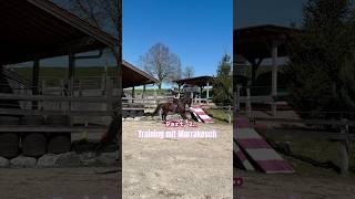 That was wild! #training #dressage
