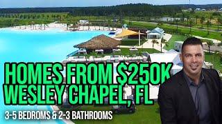 Epperson Lagoon Homes Tampa Rob - Epperson Ranch Homes for sale in Wesley Chappel Fl -