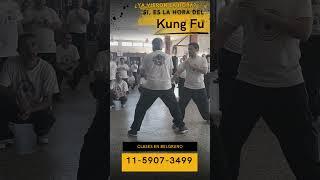 La Técnica Pek Choy: Precisión y Fuerza en Choy Li Fat Kung Fu