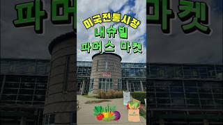 [미국일상] 미국 전통시장 내슈빌 파머스마켓 #Nashville #Farmers #Market #USA #fyp #fypシ゚viral #foryou #shorts