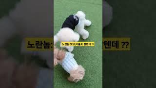 한대맞고따블로간다!
