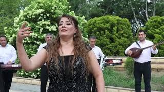 Oxuyur Ulduz Ağcabədili  - Amandi Yar  / Cover Video