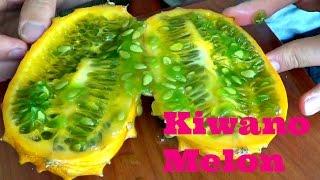 Kiwano Melon Review - Weird Fruit Explorer Ep 120