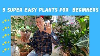 5 EASY to Grow Houseplants for Beginners