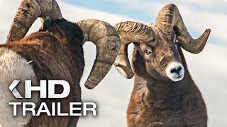 WILDES KANADA Trailer German Deutsch (2014)