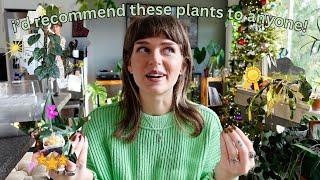 my TOP 10 favourite houseplants of 2023!