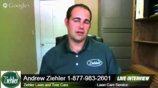 Business Trends TV Reviews: Andrew Ziehler From Ziehler Lawn and Tree Care Gives Us A Review