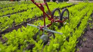 Terrateck Bio-Disc | Dubois Agrinovation