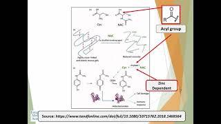 Advanced Topics in Organic Acids Interpretations - Integrative Medicine Academy