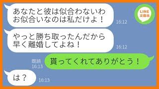 【LINE】信頼していたママ友が私の旦那を略奪「彼とは合意の上だし、邪魔者はあなたよ！」→お金に目が眩んだ勘違い女にある真実を教えてあげた…ww【スカッとする話】【総集編】