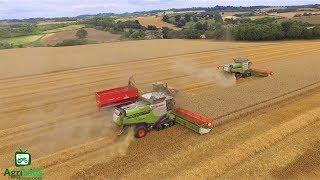 Hopkins Agriculture Wheat Harvest 2018 2x Claas Lexions 780TT