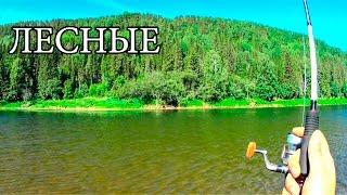 Удачная рыбалка | Successful River Fishing