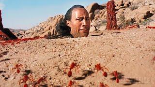 3 scenes we love in The Scorpion King starring Dwayne "THE ROCK" Johnson  4K