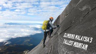 THE CRAZIEST HIKE EVER | Travel Guide to Mount Kinabalu Via Ferrata (Low's Peak Circuit) 4K