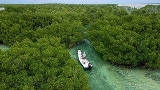 Exploring Deep In The Bush | Snappers Sharks & Stone Crabs