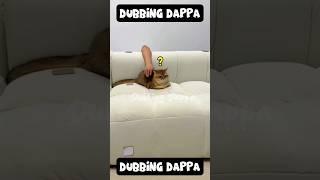Amme Peiyuuu  || Dubbing Dappa #shorts #funny #shortsfeed #comedy #cat #catvideos #funnyanimals