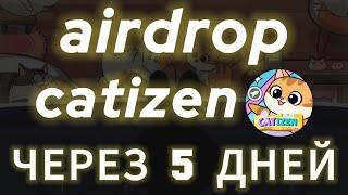 ОСТАЛОСЬ 5 ДНЕЙ! КОГДА AIRDROP CATIZEN КОГДА ЛИСТИНГ КЭТИ ЗЕН CATI COIN УСЛОВИЯ ДЛЯ АЕРДРОПА КЭТИЗЕН