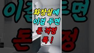 화장실에 이걸 두면 돈걱정 뚝! #생활풍수 #재물운 #풍수인테리어