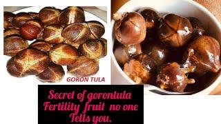 Gorontula /silky kola  secret about gorontula fruit no one told you about. Fertility fruit etc...