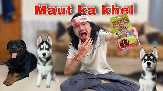 Husky Puppy Reaction on Fake Blood capsule  ￼| Rottweiler | husky | roxycheeni | review reloaded