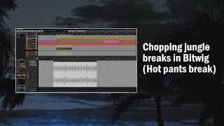 Chopping jungle breaks in Bitwig Studio