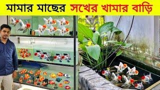 মামার শখের মাছের খামার Aquarium Price In BangladeshAquarium Fish Price In Bangladesh 2024