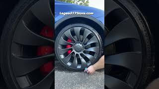 Legend17 TESLA TIRE SHINE