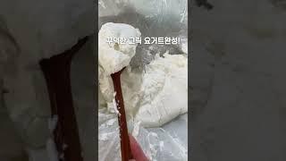 그릭 요거트 만드는 방법 가장 쉬운방법