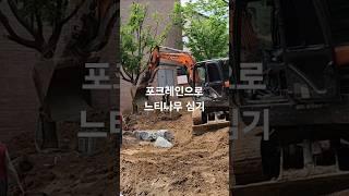 정원 조경하는 사람들 #정원 #조경 #garden #나무심기 #느티나무 @정원조경팀장