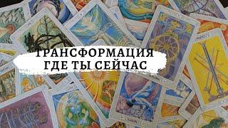 НА КАКОМ ЭТАПЕ ТРАНСФОРМАЦИИ ВЫ НАХОДИТЕСЬ В ДАННЫЙ МОМЕНТ?