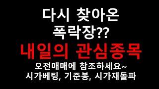 폭락장 힐링지존~내일의 관심종목