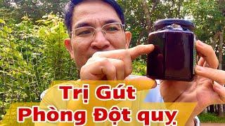 Cách trị Gút và phòng Đột quỵ . PHAN HẢI Channel